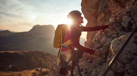 Die Clara Bildergalerie Die Clara Bildergalerie