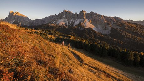 Die Clara Bildergalerie Die Clara Bildergalerie