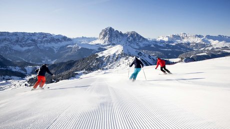 Die Clara Bildergalerie Die Clara Bildergalerie