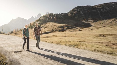 Die Clara Bildergalerie Die Clara Bildergalerie