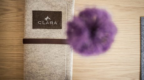 Die Clara Bildergalerie Die Clara Bildergalerie