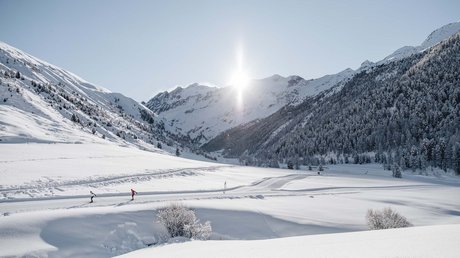 Die Clara Bildergalerie Die Clara Bildergalerie