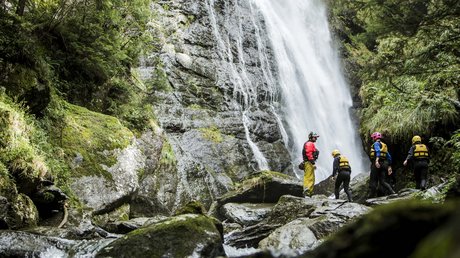Die Clara Bildergalerie Die Clara Bildergalerie