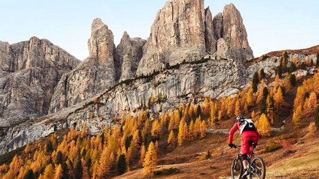 Die Clara Bildergalerie Die Clara Bildergalerie