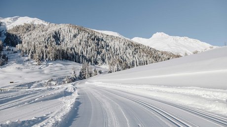 Die Clara Bildergalerie Die Clara Bildergalerie