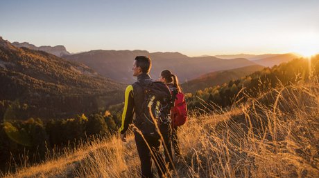 Die Clara Bildergalerie Die Clara Bildergalerie