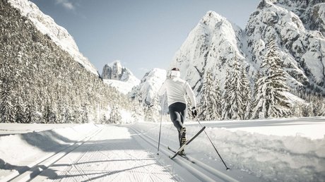 Die Clara Bildergalerie Die Clara Bildergalerie