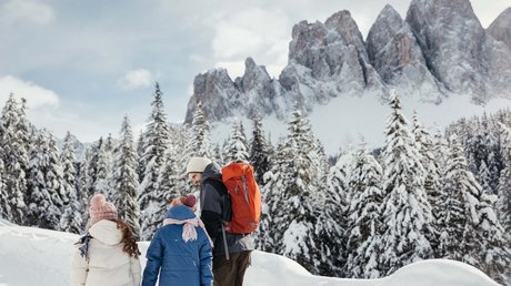 Die Clara Bildergalerie Die Clara Bildergalerie